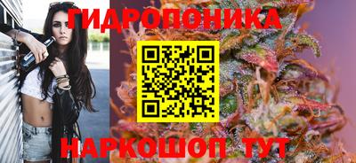 шишки Ярославль