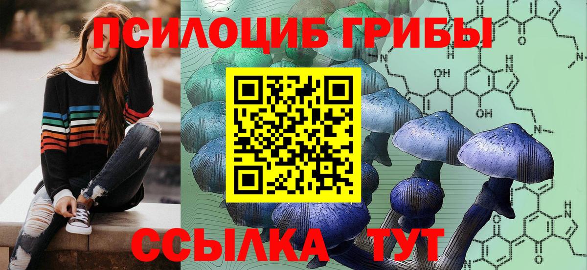 Псилоцибиновые грибы прущие грибы Великий Новгород