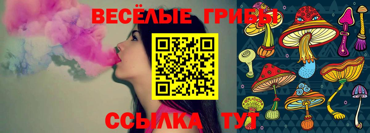 Псилоцибиновые грибы Cubensis  Вход с VPN  Великий Новгород 